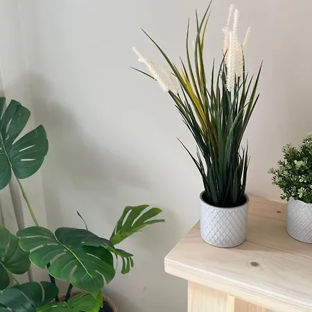 Hanami La Fragata Garden 2 Lejlighed *